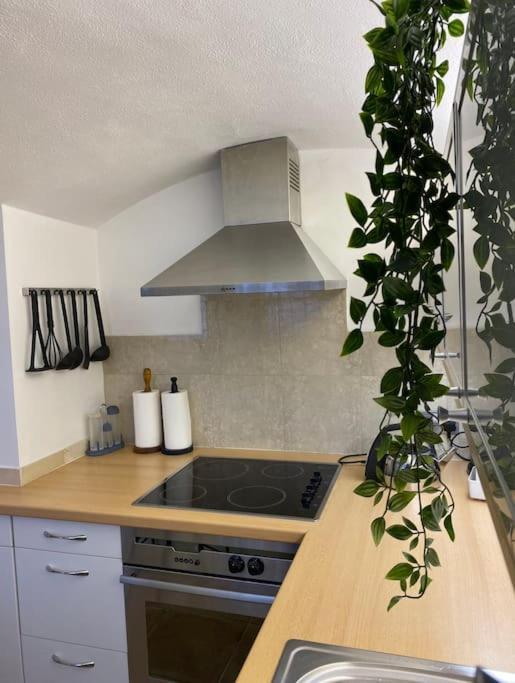 Spacious Flat In The Most Desirable Area Of ลอนดอน ภายนอก รูปภาพ